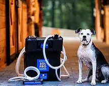 CE-SolPro-Attachments-Dog(2)-600x399-e879c09.webp