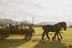 IMG_3905.jpeg