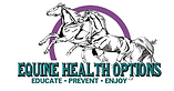 Opera Snapshot_2022-07-04_095840_www.equinehealthoptions.com.png