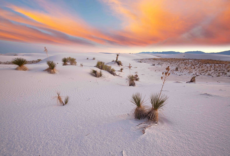 white-sands-HZBG9Z7.jpeg