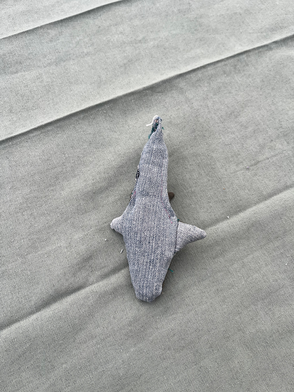 Thumbnail: Shark Cat Toy