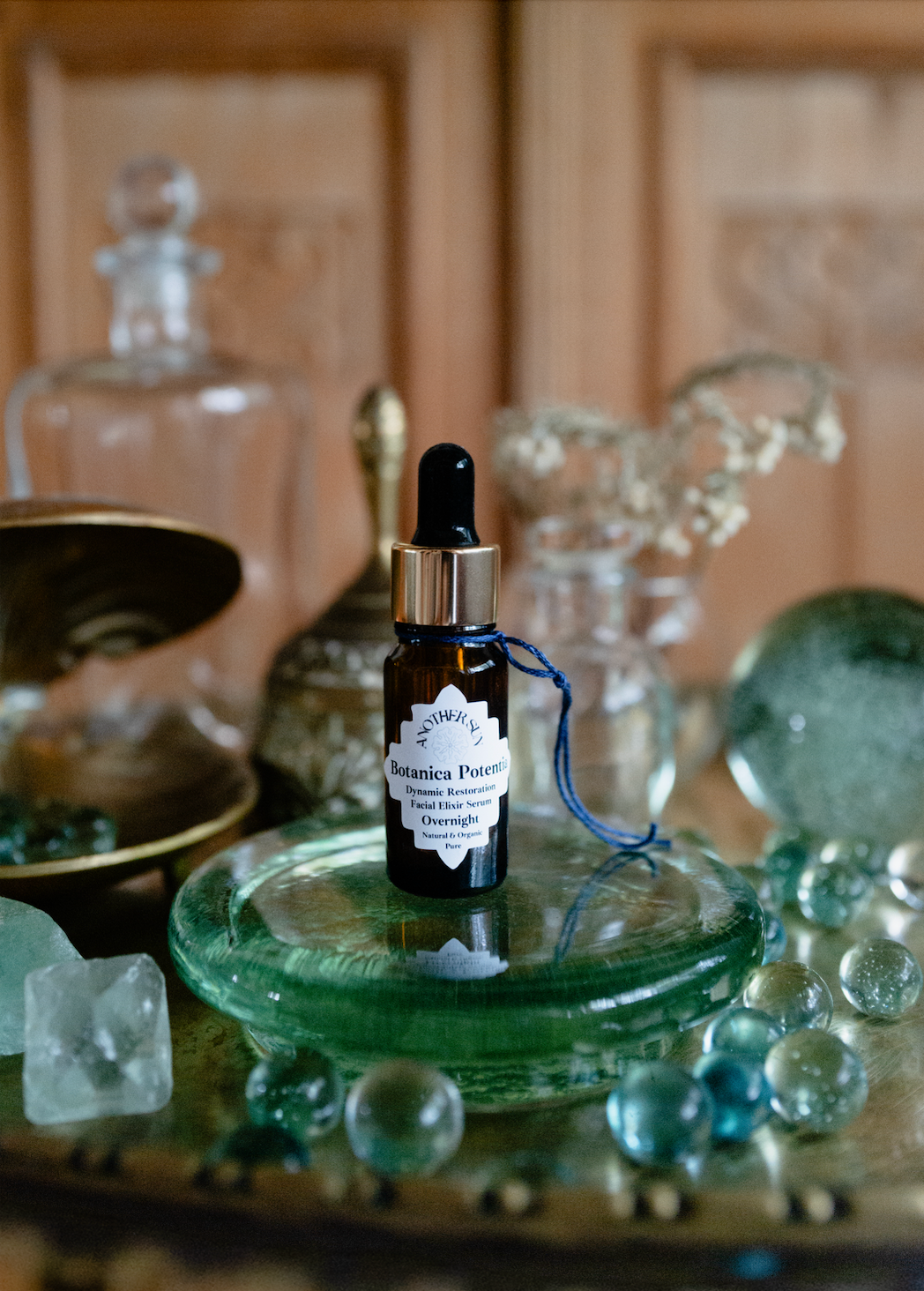 Botanica Potentia ~ Dynamic Restoration ~ Overnight Facial Elixir Serum