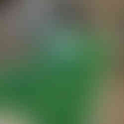 Camping longarm setting up