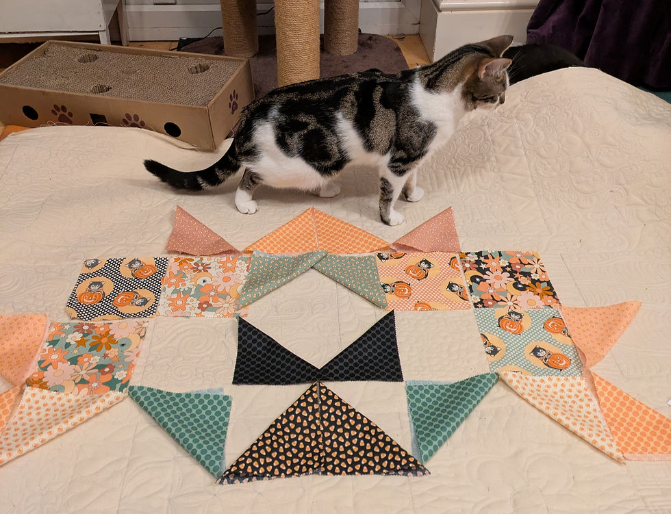 Cleo checking out the pattern layout