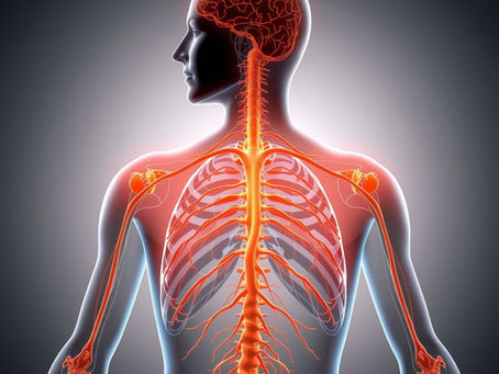 How Bowen Therapy May Help the Nervous System