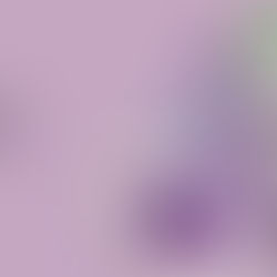 101 Poemas Para a Internet: nas eras em que eu era