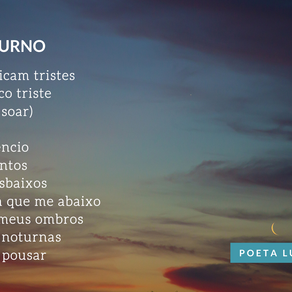 NOTURNO
