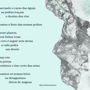 101 Poemas Para a Internet: barrando o curso das águas