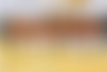 Open Belgisch Kampioenschap Shinkyokushin, La Louvière