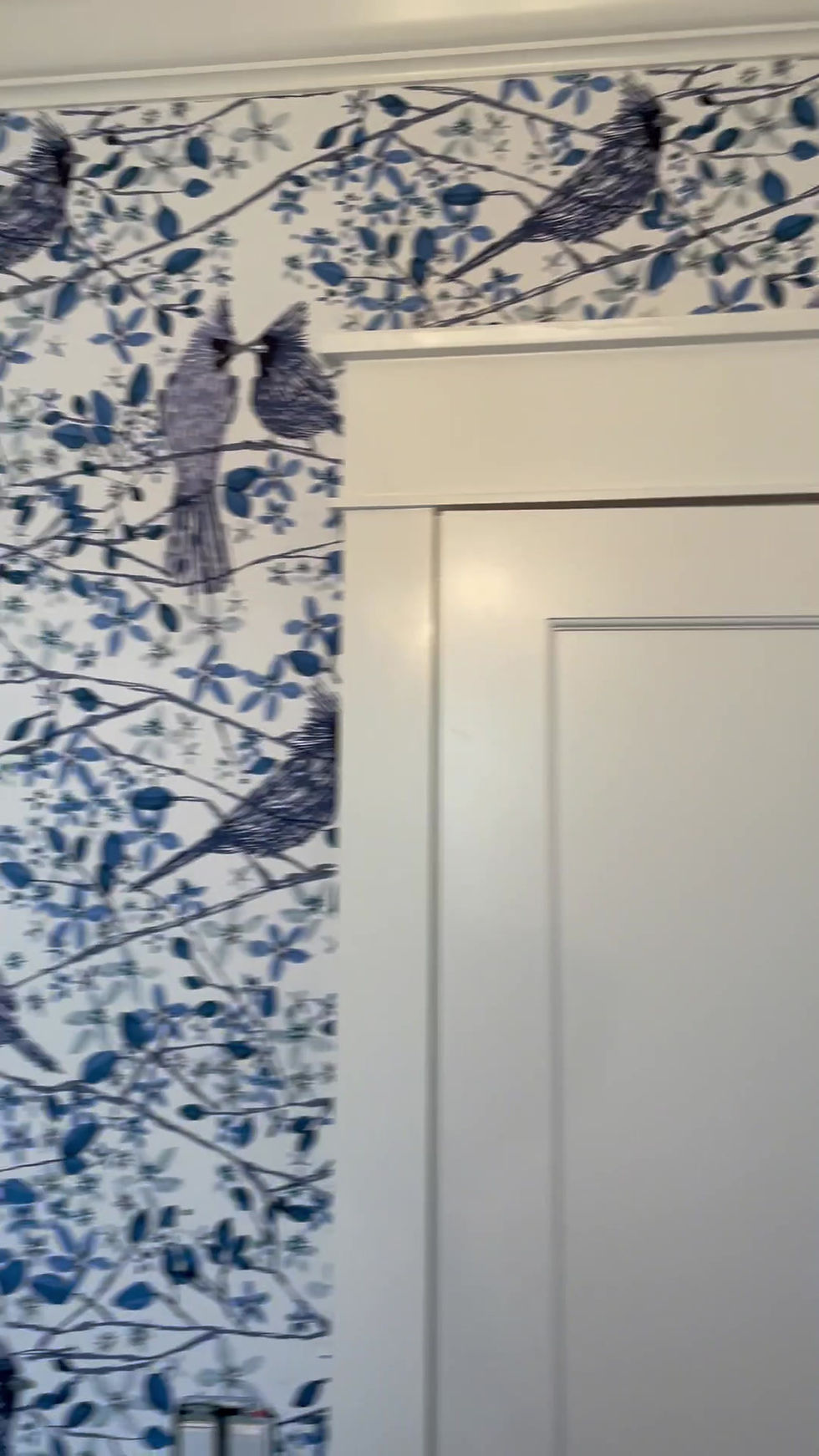 Thumbnail: Cardinals Embrace Wallcovering