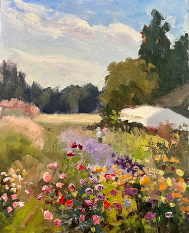 flower farm, field of flowers