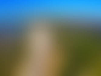 Posição da Agapan sobre o processo de atualização do Plano Diretor de Porto Alegre 