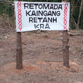 Nota pública sobre a retomada indígena em área do Parque Natural Municipal Saint’Hilaire