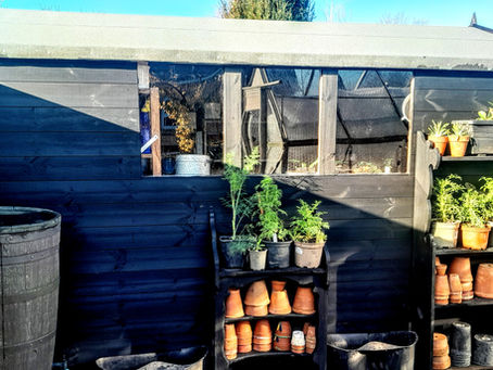 Eagerly awaiting Spring 