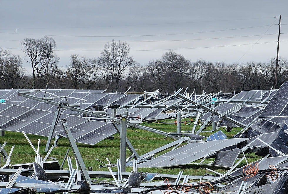 Storm Damage_Wind 1