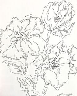 Bloom, 2016