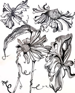Wildflower, 2018