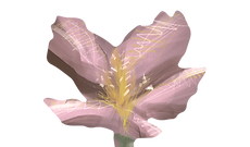 AEnB2UqqS8UINuKW8UTI5MDfh7IOtwOnS-ypdYV9