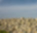 pexels-mike-van-schoonderwalt-1884800-5484805_edited.jpg