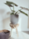 5F518311-5038-49F4-AF19-72621232EFFF.PNG