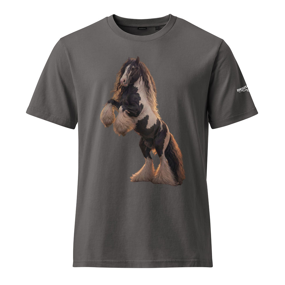 Thumbnail: Unisex Garment Dyed Creator 2.0 Vintage T-Shirt -Stallion