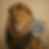 file_000000003b3c61f4b15ca89f2ed2b266.png