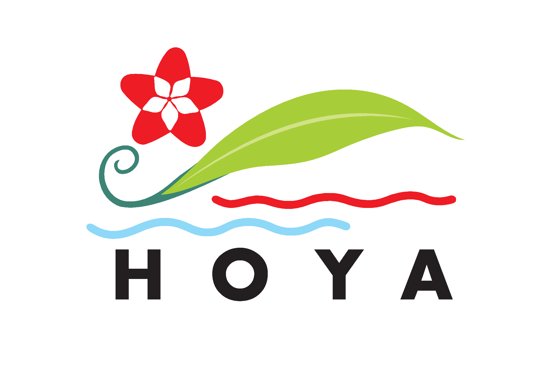 Hoya Garden Plaza - Garden Centre Brisbane Capalaba