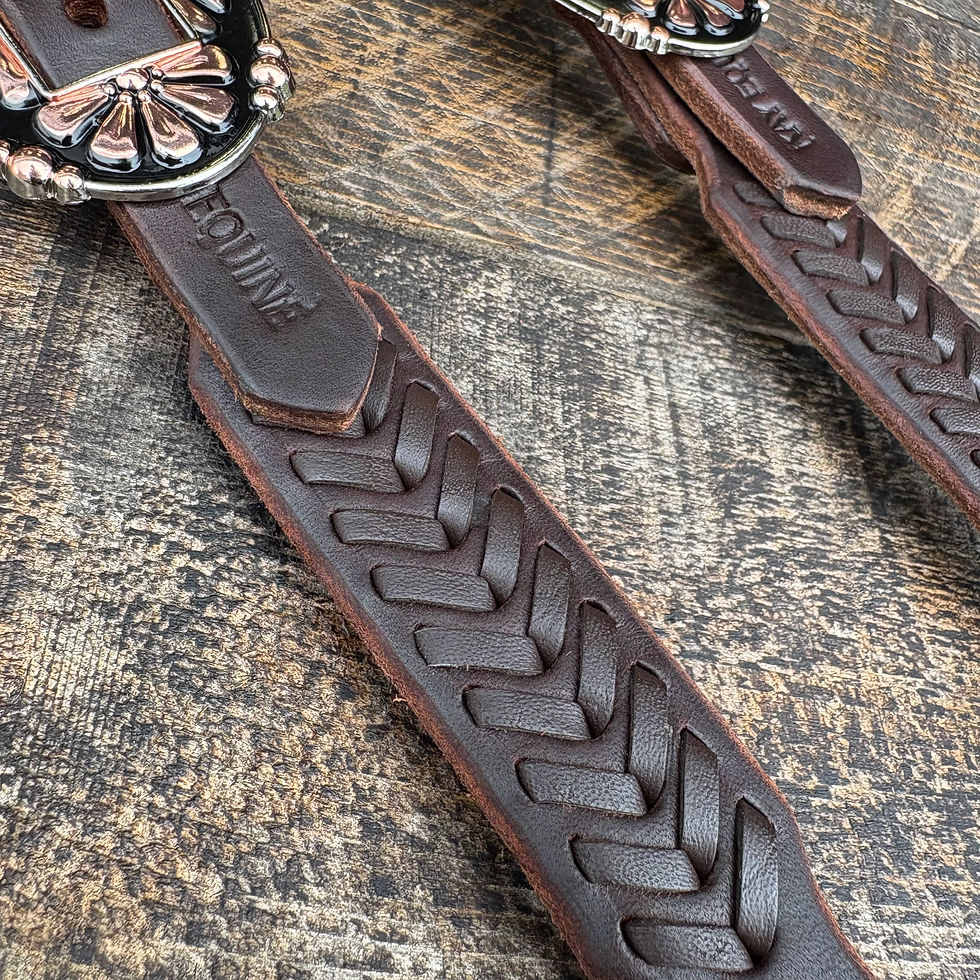 Thumbnail: Headstall H54