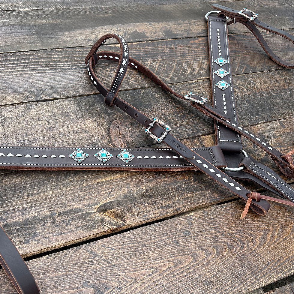 Thumbnail: Tack Set H70