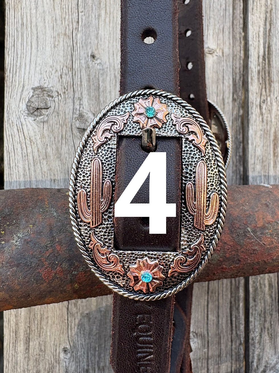 Thumbnail: Short Cheek Single Ear Headstall