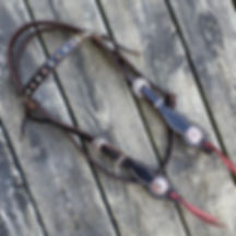 Cactus Headstall