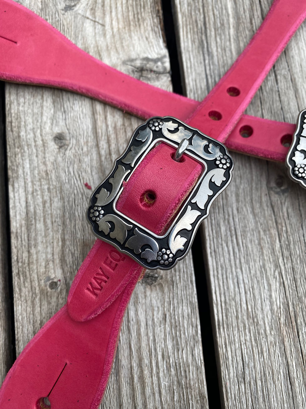 Thumbnail: Pink Spur Straps