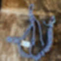 IMG_1661.jpeg