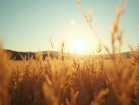 Psychology & Compassion