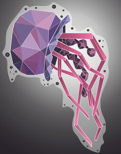 1st place award at the 2015 Western Carolina State Fair
