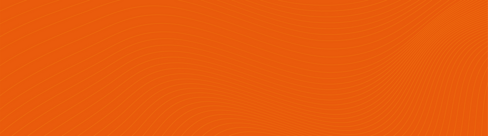 ACE-Streamline-Orange_edited.png