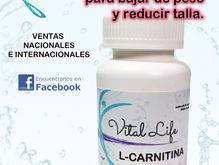 L-Carnitina Vital Life