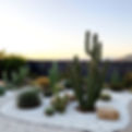 boho garden with cactus with white gravel.jpg