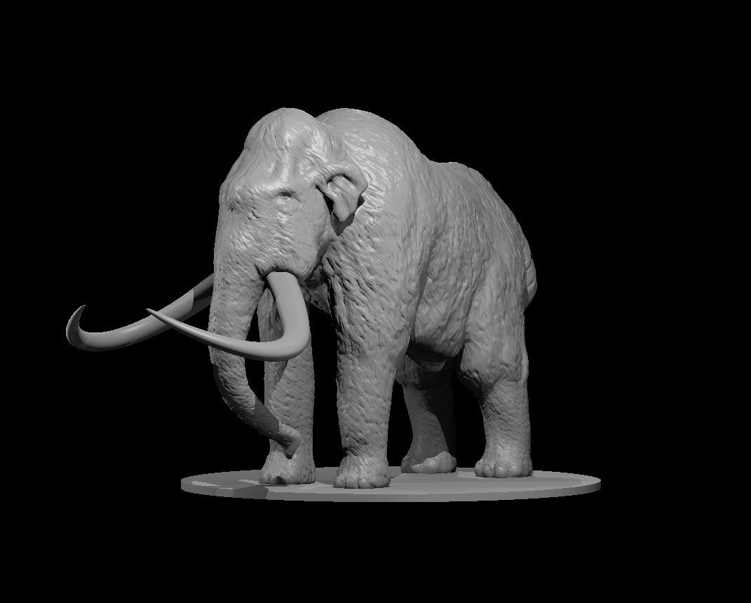 Mamute / Mammoth