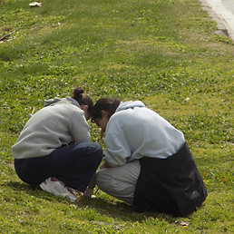 DSCN2046.jpg