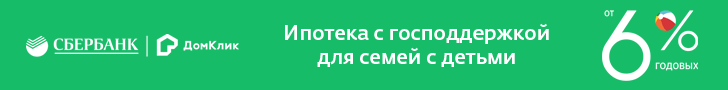 Господдержка_6_728х90.gif