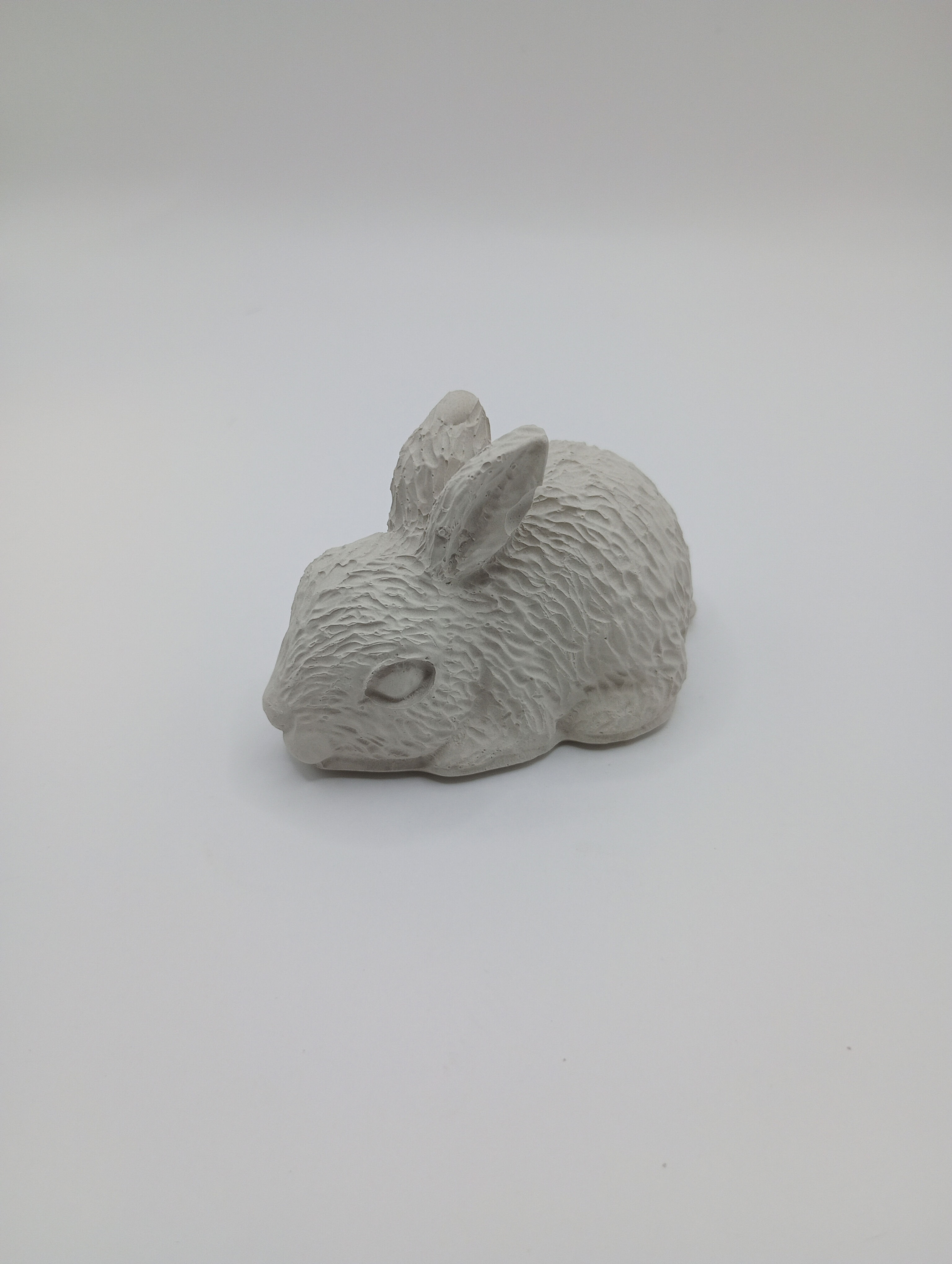 Small Detailed Bunny