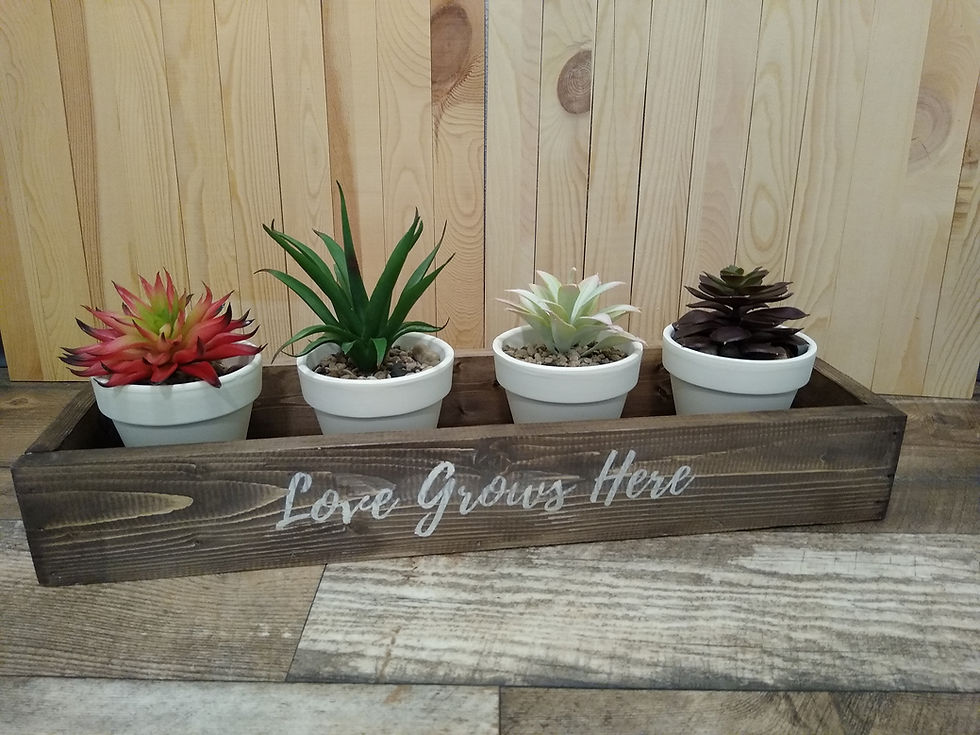Succulent Centerpiece Box
