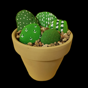 cactus pot.png