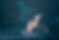 Industry-Experienced Trainers - Joshi Infotech