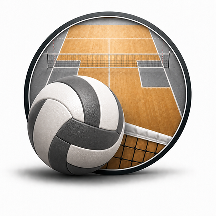 VOLLEYBALL2.png