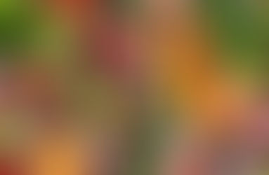 “El veganismo no solo es un modo de alimentación, es una forma de vida”