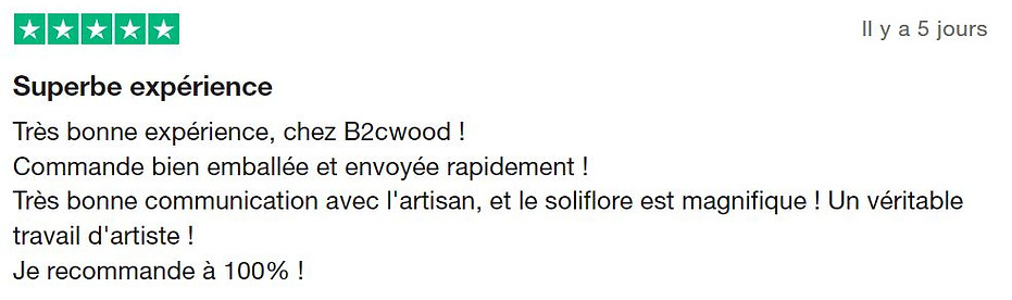 avis client trustpilot