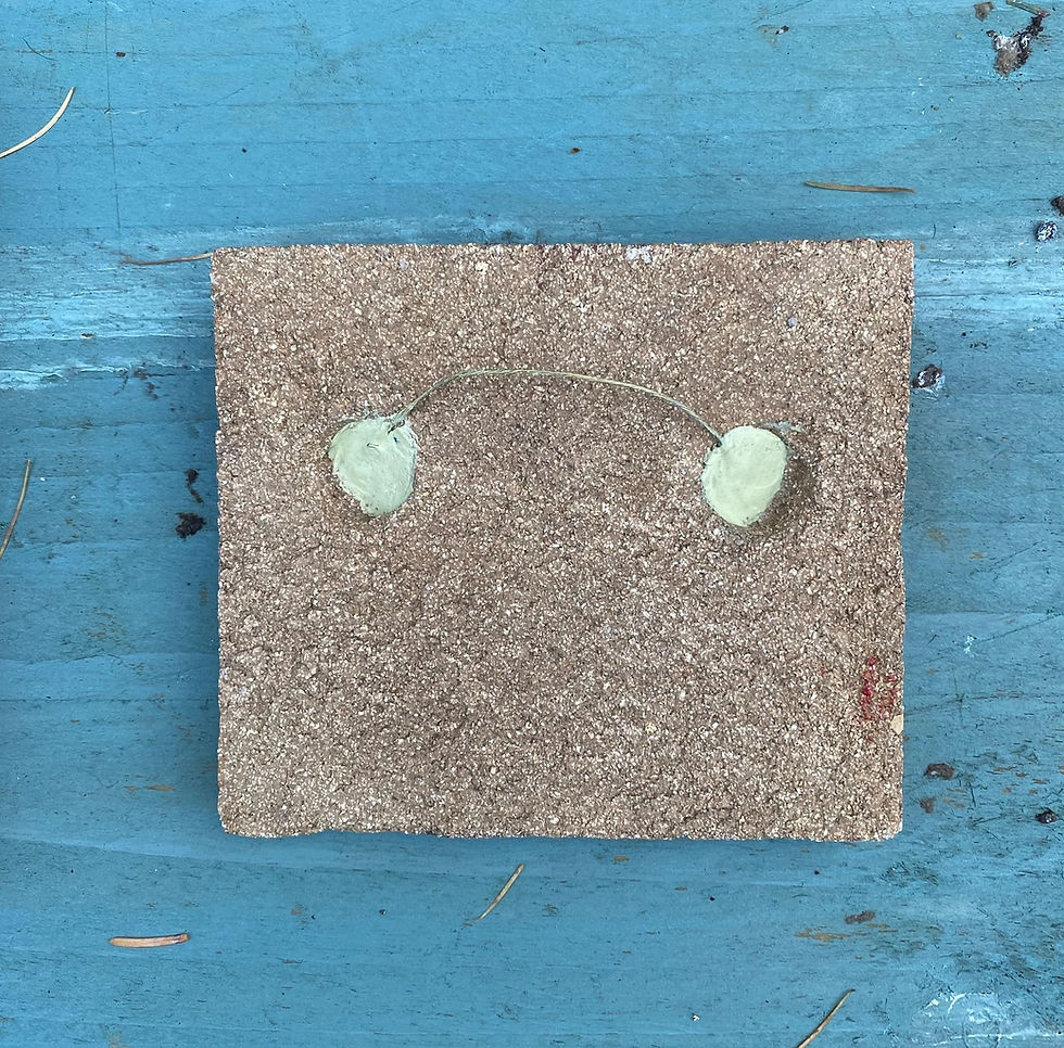 Thumbnail: Robin Tile/Wall Plaque in Stoneware Ceramic