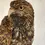 Thumbnail: Buzzard Sculpture in Ceramic by Paul Szeiler